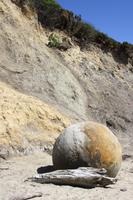 Moeraki Boulders