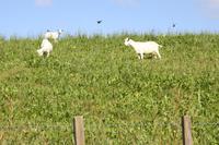 Auf dem Weg zur Farm