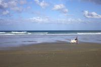Ninety Mile Beach