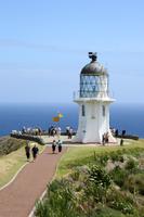 Cape Reinga