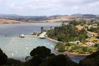 Mangonui
