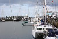 Hafen von Auckland