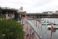 Darling Harbour in Sydney