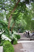 Orchideengarten in Singapur