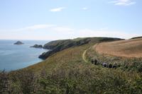 Küstenwanderung auf Sark