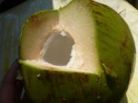 lecker Kokosnusswasser