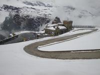 Am 12.06.12 auf dem Gornergrat