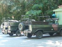 unsere Jeeps