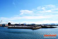 Flugshow vor BodÃ¶