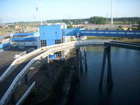 im Hafen