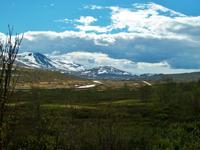 Nationalpark Dovrefjell