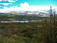 Nationalpark Dovrefjell