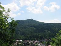 Blick auf den Hochwald