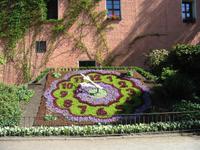 Blumenuhr Zittau