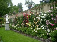 Rosengarten Mainau