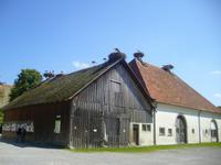 bei den Störchen in Salem