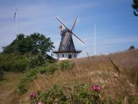 Windmuehle in Sonderho