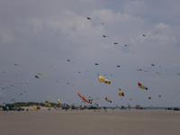 Drachenfestival auf Fano