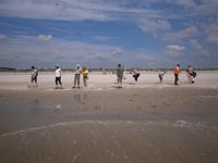 Eberhardt Gaeste bei der Radtour am Strand auf Fano
