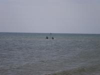 Eberhardt Gaeste bei der Radtour am Strand auf Fano