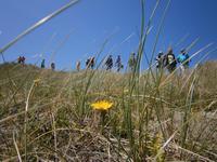 Eberhardt Gaeste bei der Radtour am Ringkobing Fjord