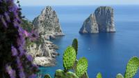 Blick vom Augustusgarten in Capri auf die Faraglioni-Felsen