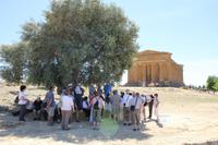 In der Tempelanlage von Agrigent