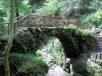 Waldspaziergang