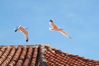 Ein paar Wegbegleiter