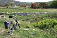 unser Fortbewegungsmittel