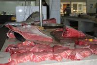 Früh morgens auf dem Markt