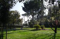 Führung in den Vatikanischen Gärten