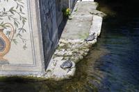 Führung in den Vatikanischen Gärten