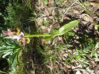 3 Kloster Tour, Wanderung am Montag