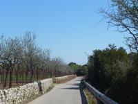 Radtour nach Pollenca