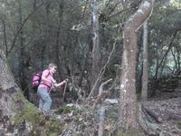 Wanderung im Tal Orient nach Alaro