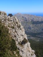 Wanderung auf den Köhlerwegen