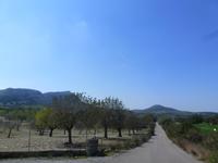 Radtour von Artá nach Son Servera