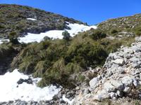 Wanderung auf den Köhlerwegen