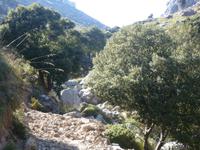 Wanderung auf den Köhlerwegen