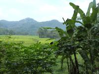 Inland von Sri Lanka