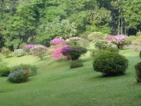 Botanische Garten von Kandy