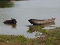 Safari im Yale-Nationalpark