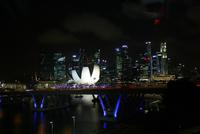 Singapur Flyer bei Nacht