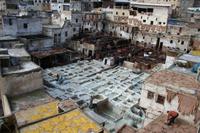 Gerberei in Fes