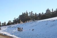 Schneebedecktes Atlasgebirge