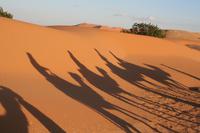 Sanddünen des Erg Chebbi