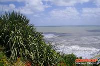 Westküste zwischen Greymouth und Punakaiki