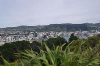 Ausblick vom Mount Victoria auf Wellington