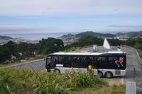 Mount Victoria in Wellington, unser Bus auf der Nordinsel